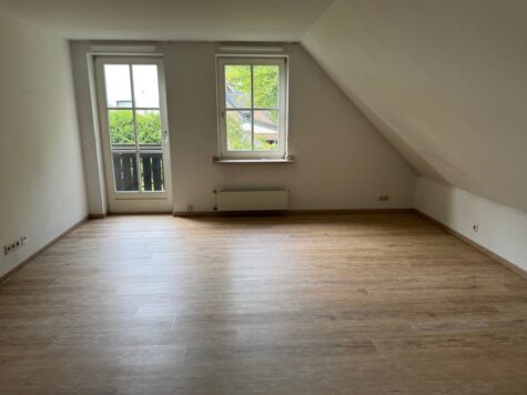 Neu renovierte 2-Zi.-Wohnung mit Balkon Nähe Wildpark, 41466 Neuss, Etagenwohnung
