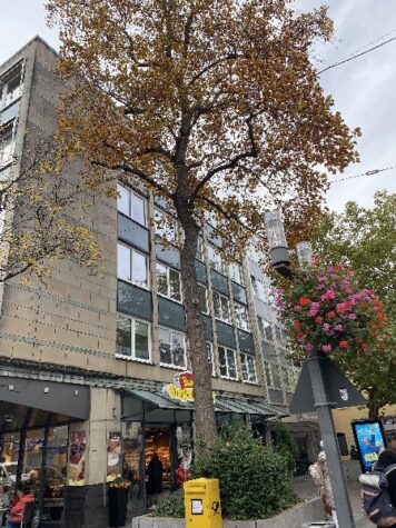 Neuss Zentrum! Mitten im Geschehen! Prima Appartement zum kleinen Preis!, 41460 Neuss, Etagenwohnung