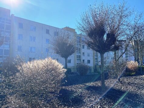 Neuss Norf – barrierearm erreichbare 2 Zimmerwohnung mit Aussicht!, 41469 Neuss, Etagenwohnung